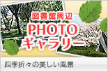 図書館周辺フォトギャラリー