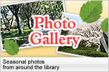 Seasonal photos from around the library