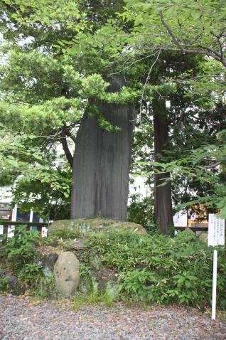 「従三位関口君之碑」（静岡浅間神社境内）