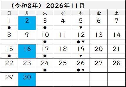 2026年11月
