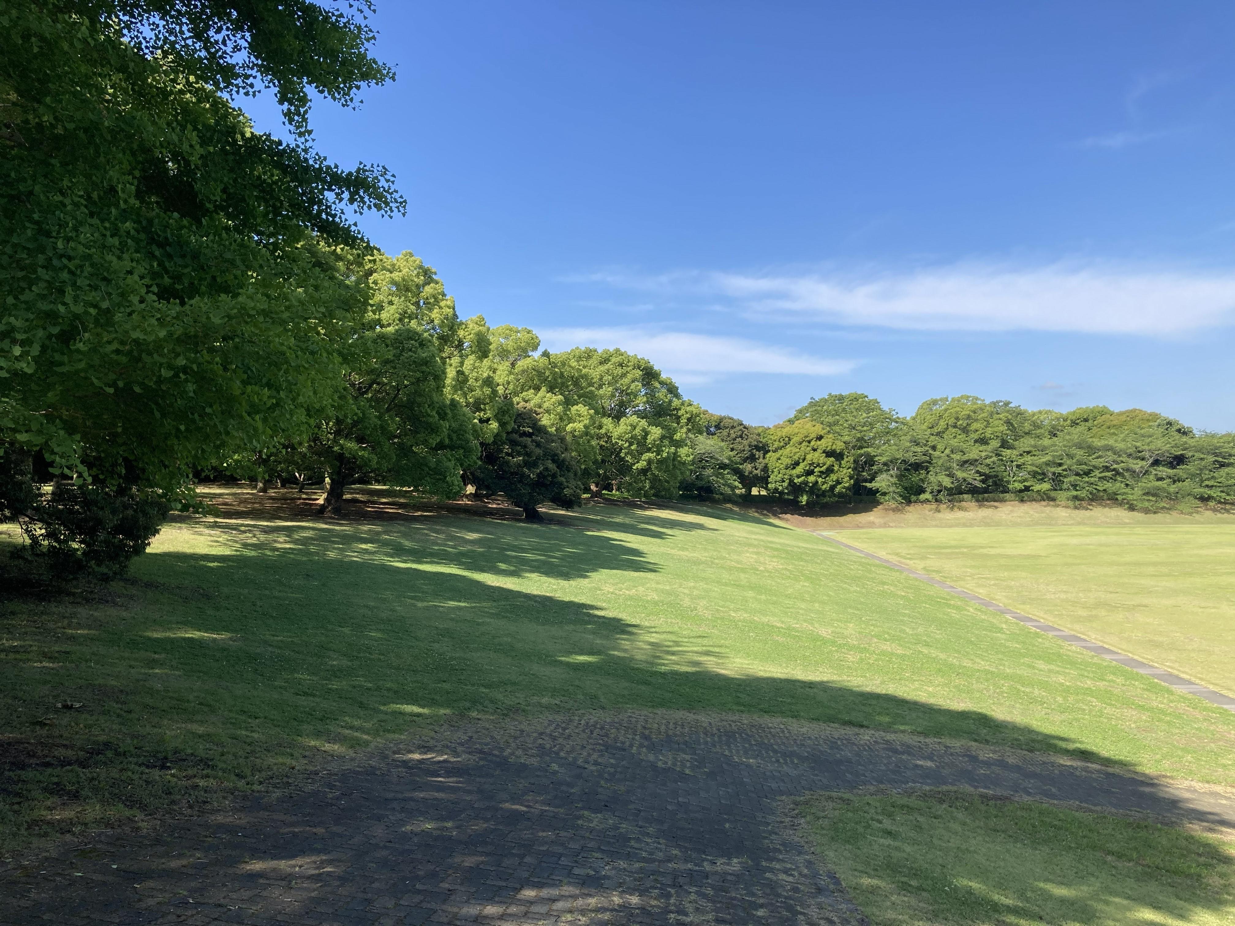芝生広場