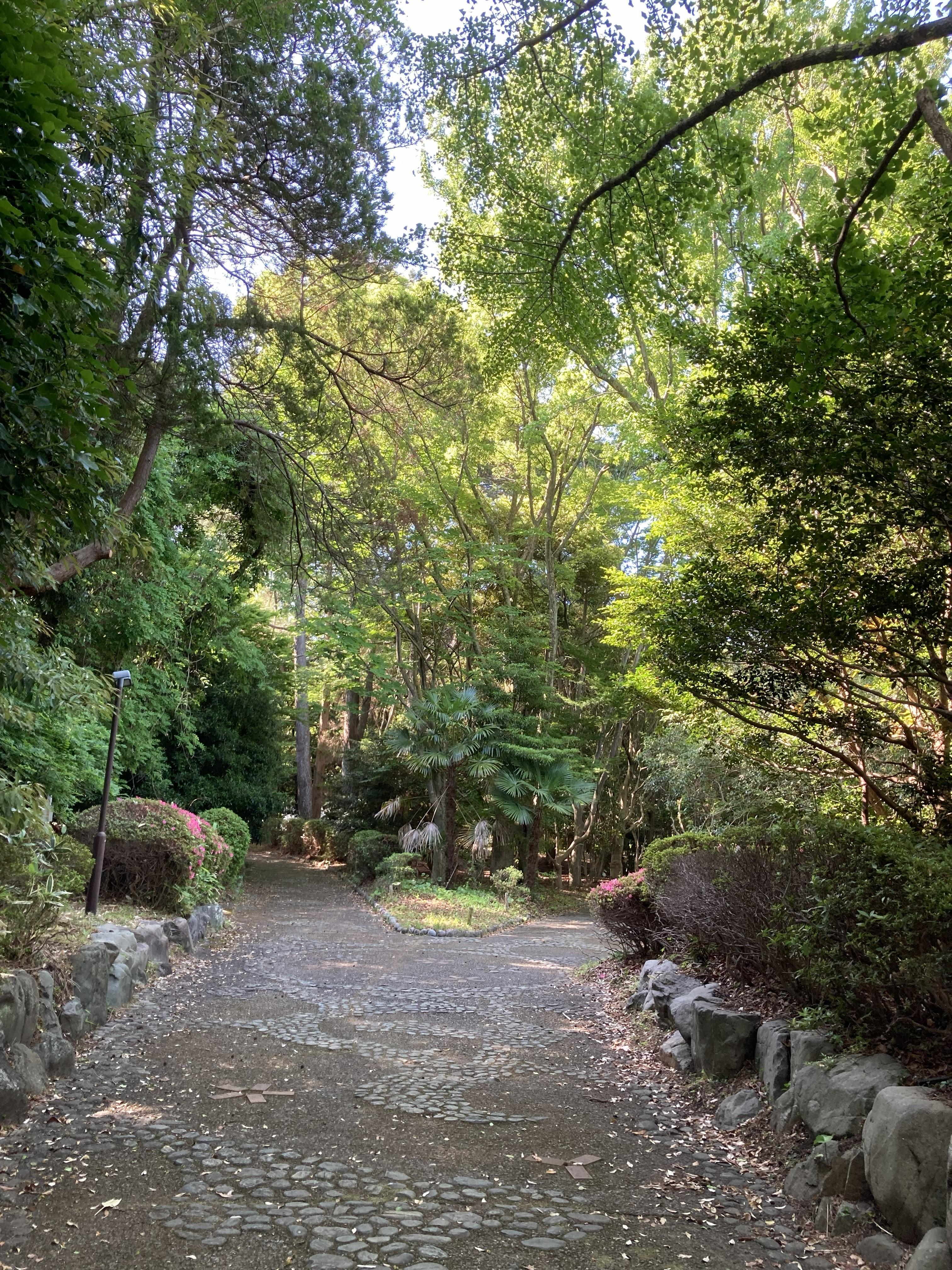 芝生広場２