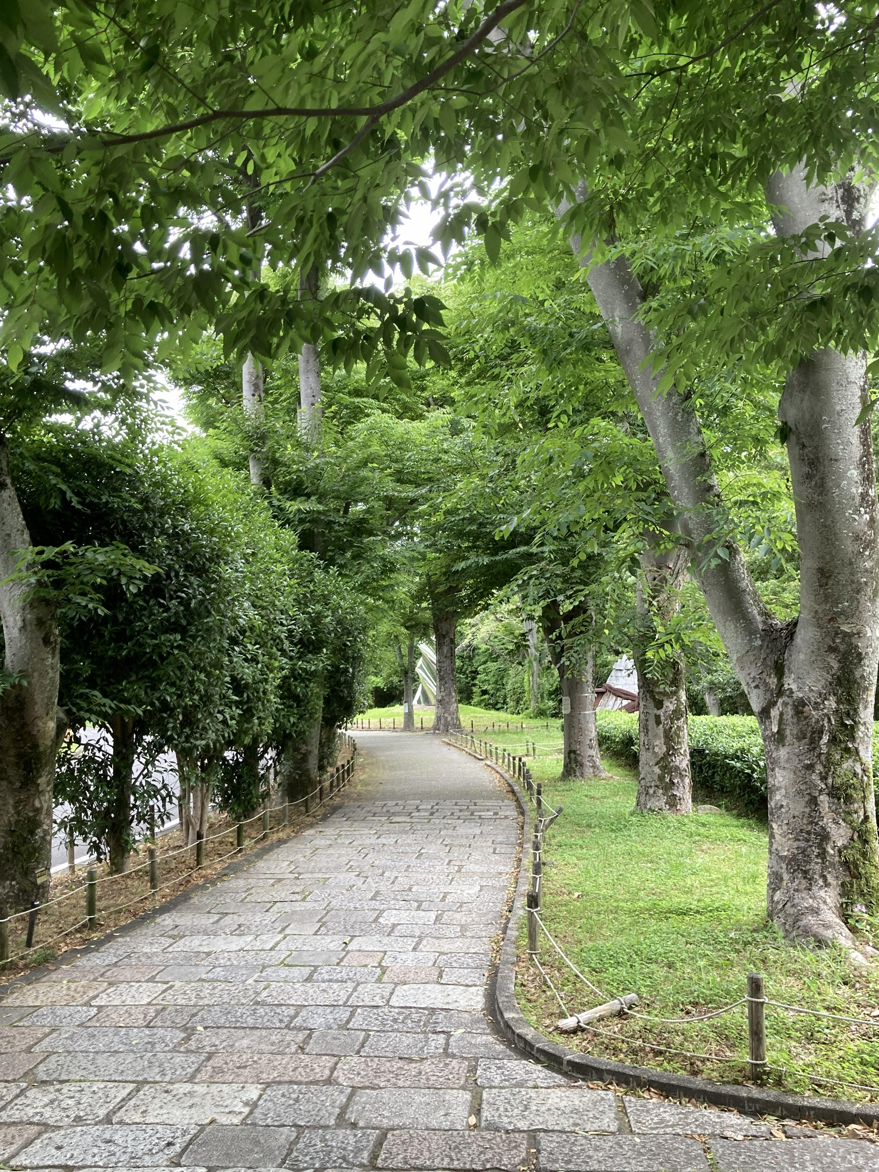 芝生広場３