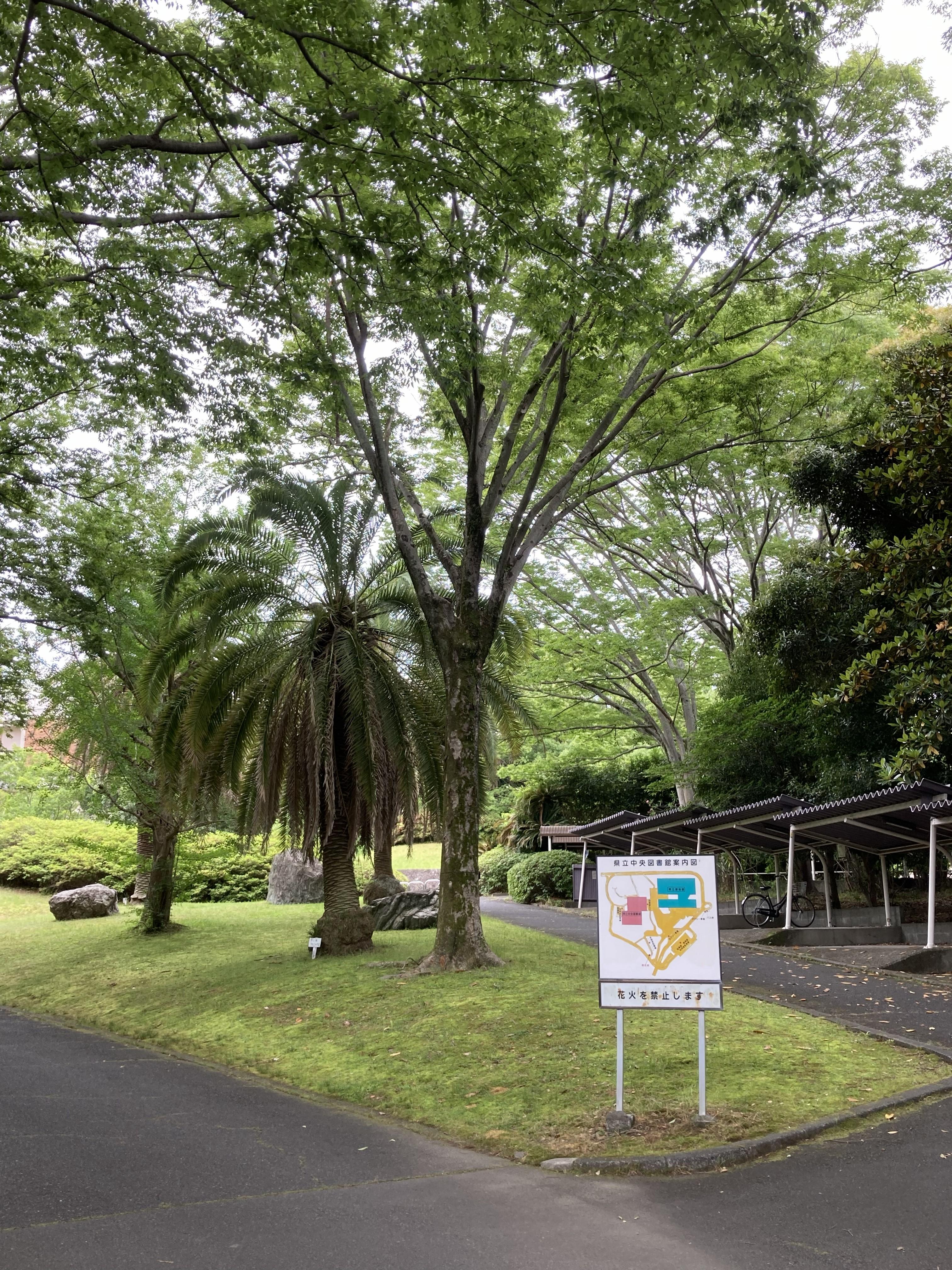 芝生広場４